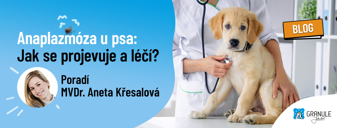 web_CZ_1160x441_blog_2025_anaplazmoza_u_psa[1]